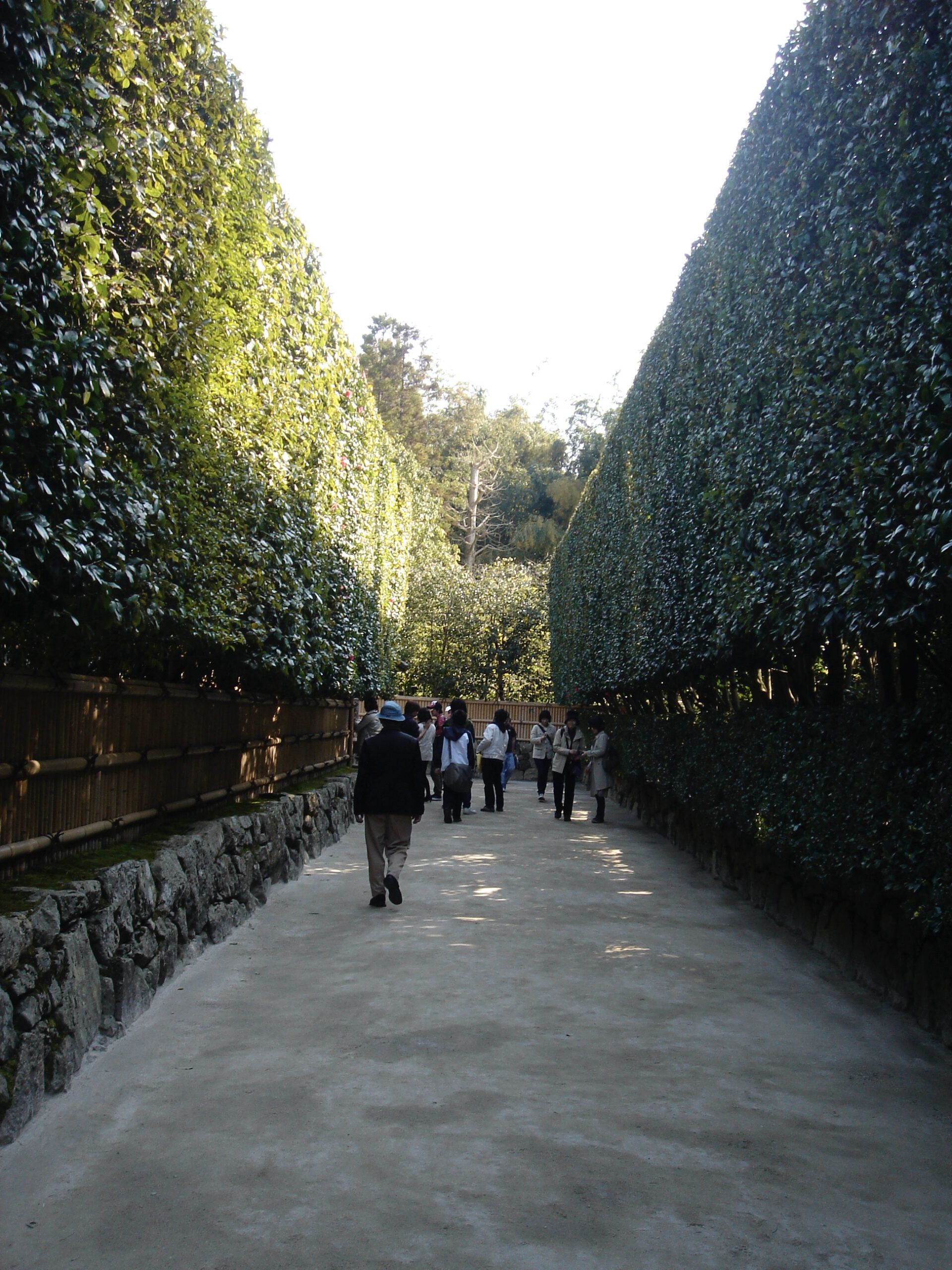 Visitors walk along a wide garden path flanked by tall, neatly trimmed hedges in the grounds of Shōren-in Temple.