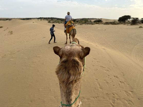Taken from the back of a camel, the back of whose head is in the foreground. In the desert. In the background is a man riding a camel; a young man next to him holds its reins.