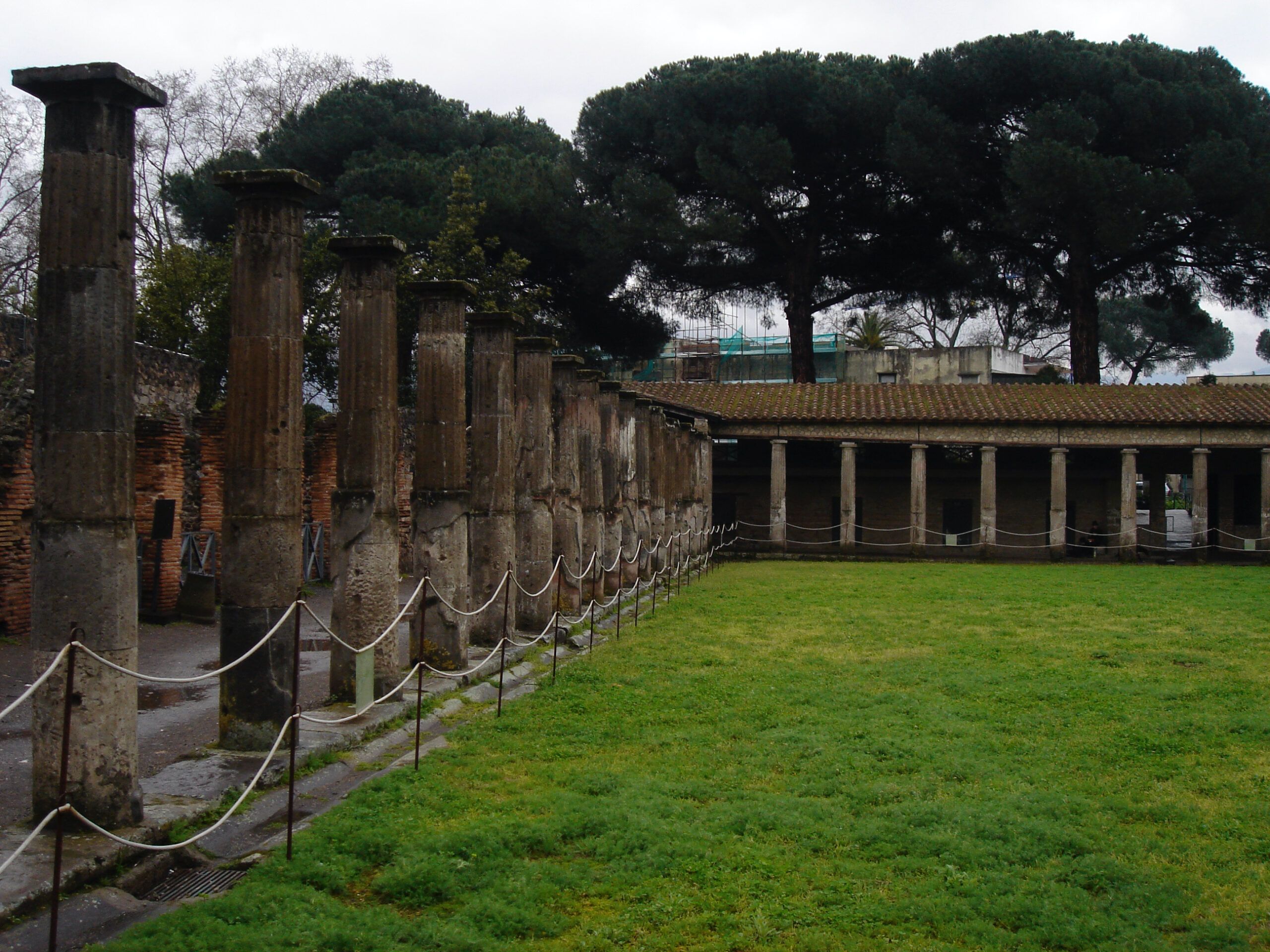 Colonnaded courtyard in Pompeii with parallel rows of stone columns surrounding a grassy open space, pine trees in the background.