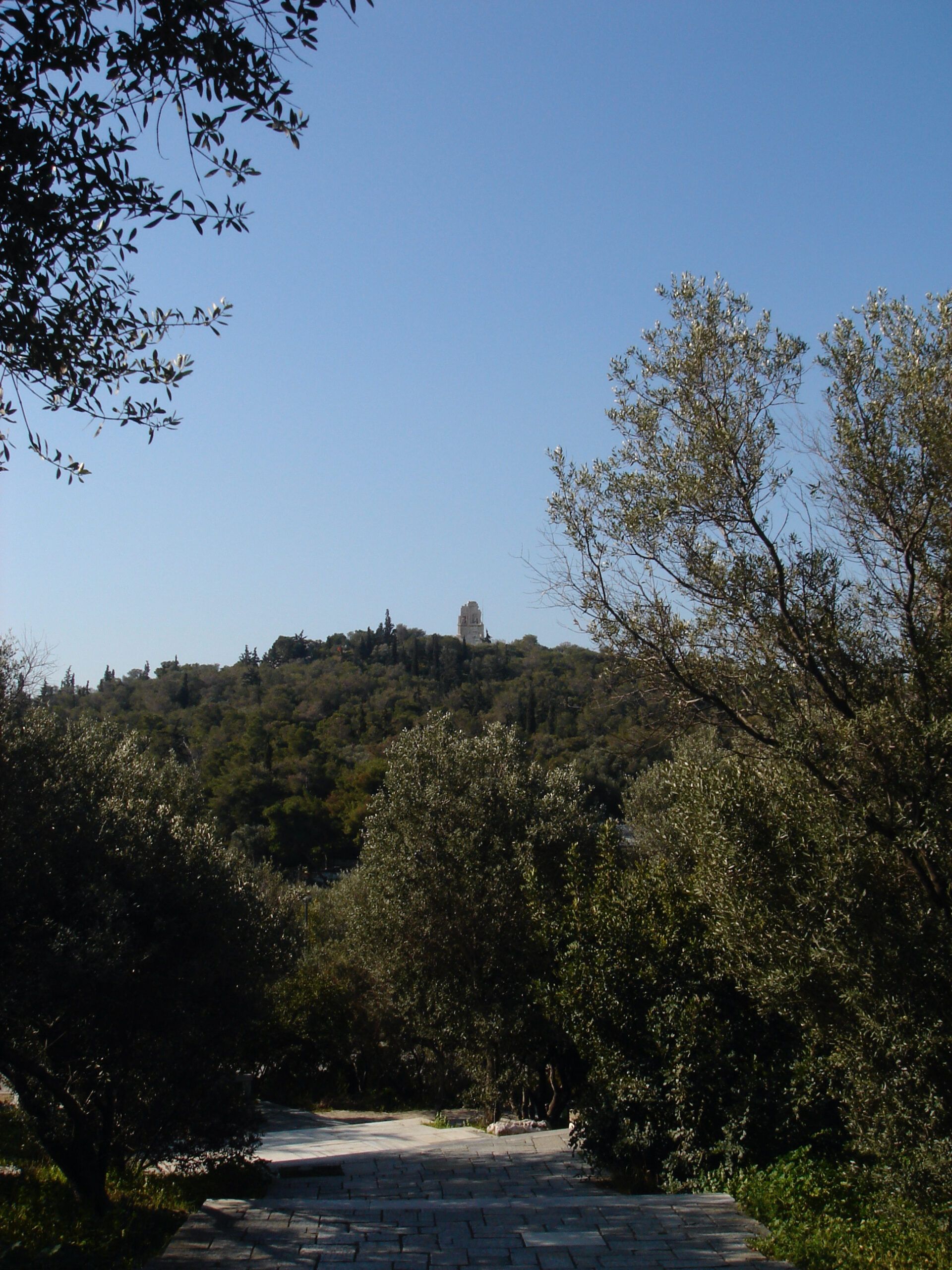 Stone-paved path leading through olive trees toward a forested hill, with the monument on Philopappos Hill visible in the distance.
