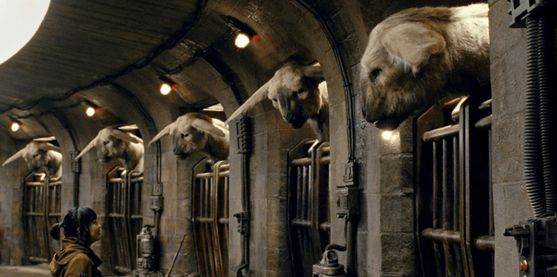 Rose Tico is in a stone-walled stable looking at a  row of caged stalls. A big horse-like animal (a fathier) looks over the wall of each stall at here.