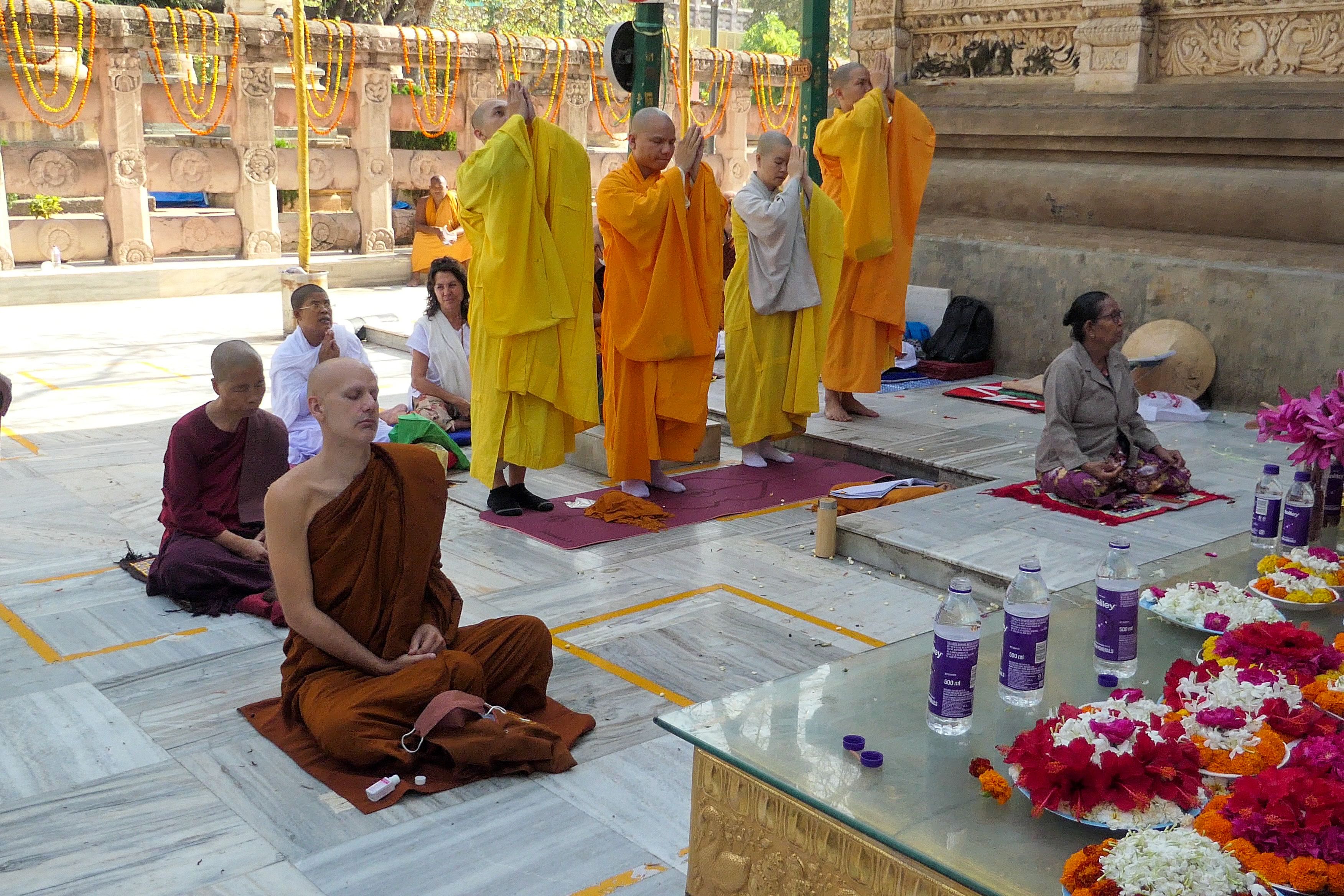 A group of monks and laypeople, seated and standing in prayer, participate in a ceremony near the Bodhi Tree.