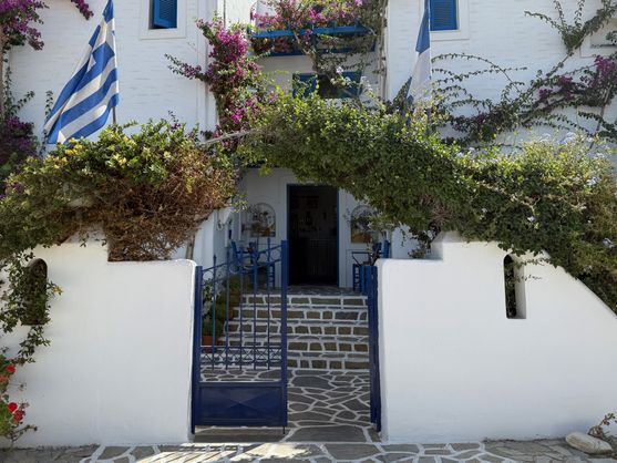A characteristically white building with a white fence and a blue gate. A paved path leads to the entrance door. The building is festooned with bougainvilleas and the blue-and-white Greek flag is flying to the left of the doorway.