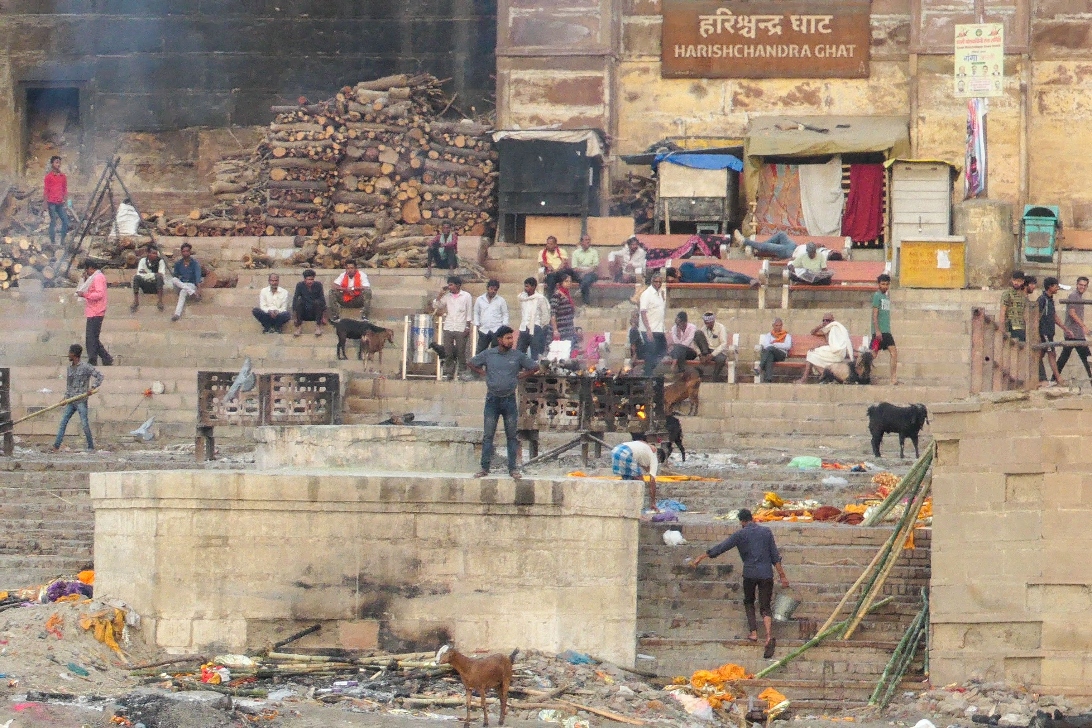 Cremation fires burn at Harishchandra Ghat with stacked wood, goats, and mourners gathered on the riverbank steps.