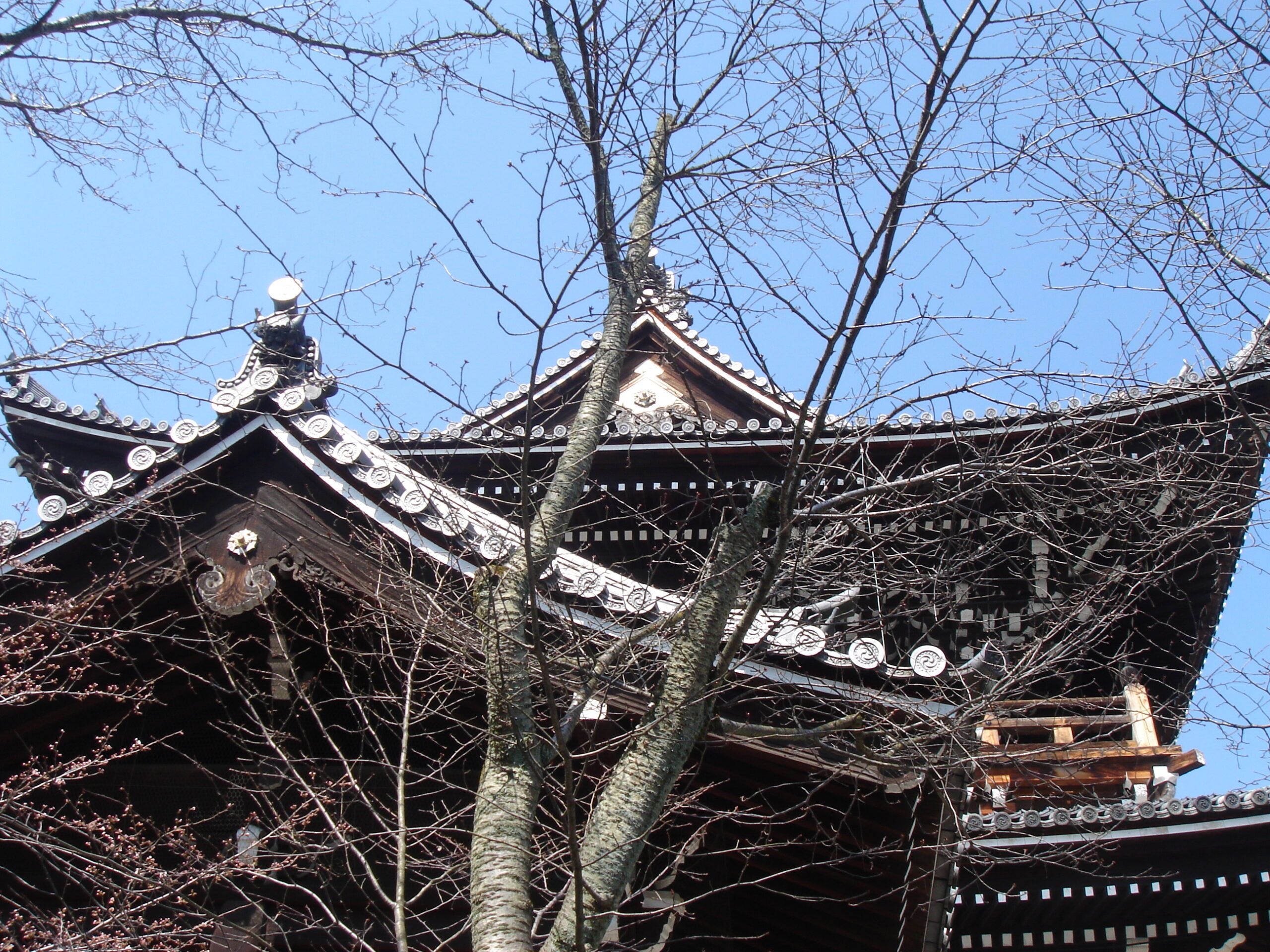 The elaborate wooden roof of a Japanese temple viewed through the bare branches of a tree against a clear blue sky.
