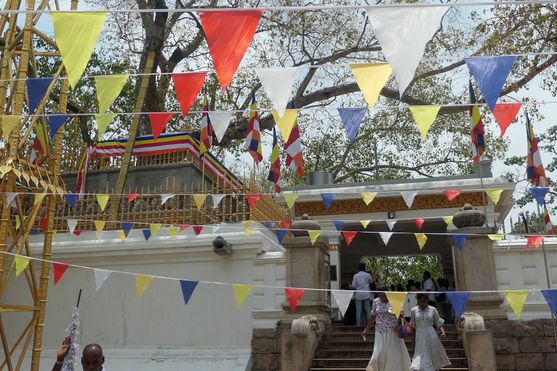 Colorful prayer flags flutter in front of a sacred Bodhi tree shrine, where worshippers enter through a white archway at the Sri Maha Bodhi in Anuradhapura.