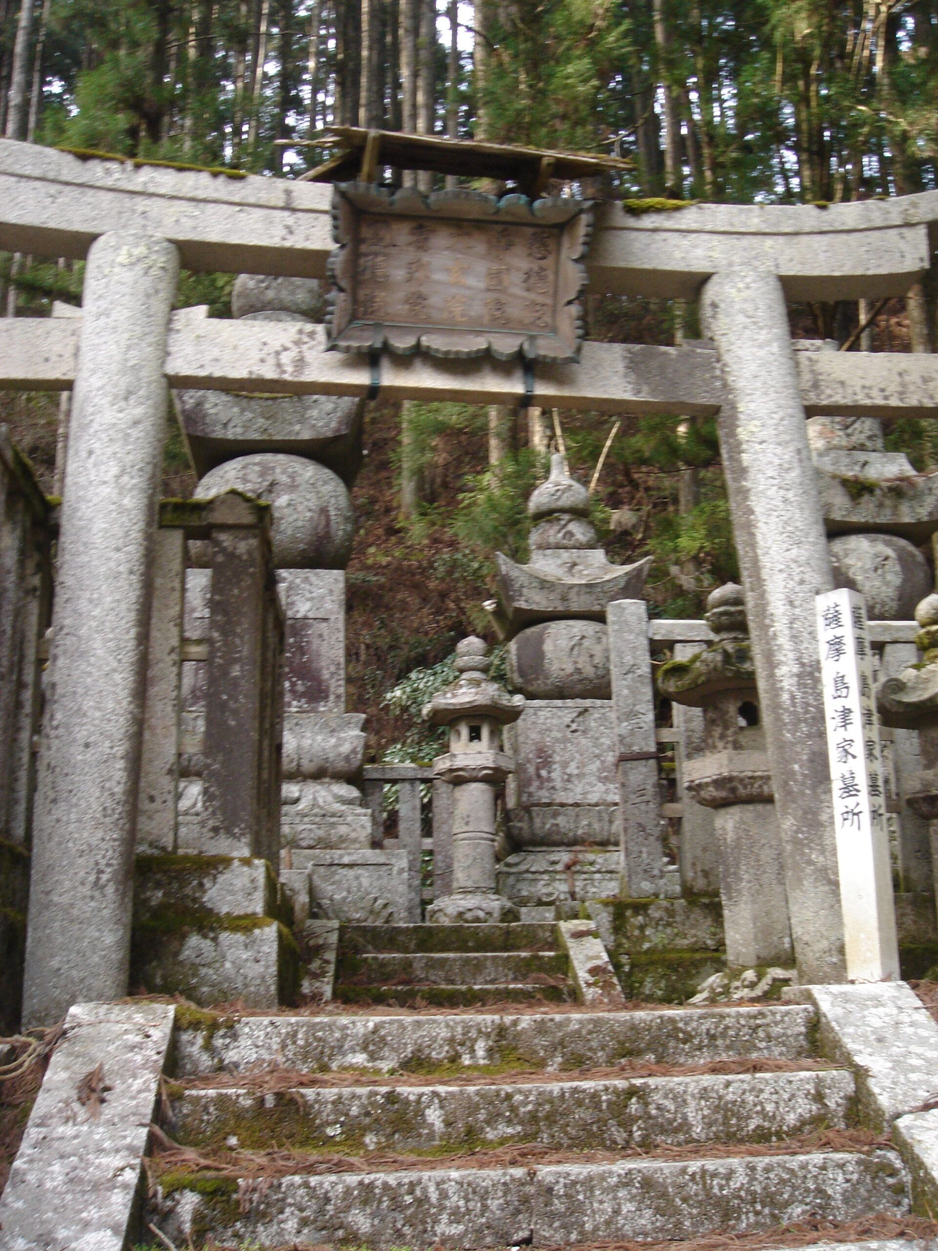 Stone steps leading up to a moss-covered Shinto shrine gate in a forest.