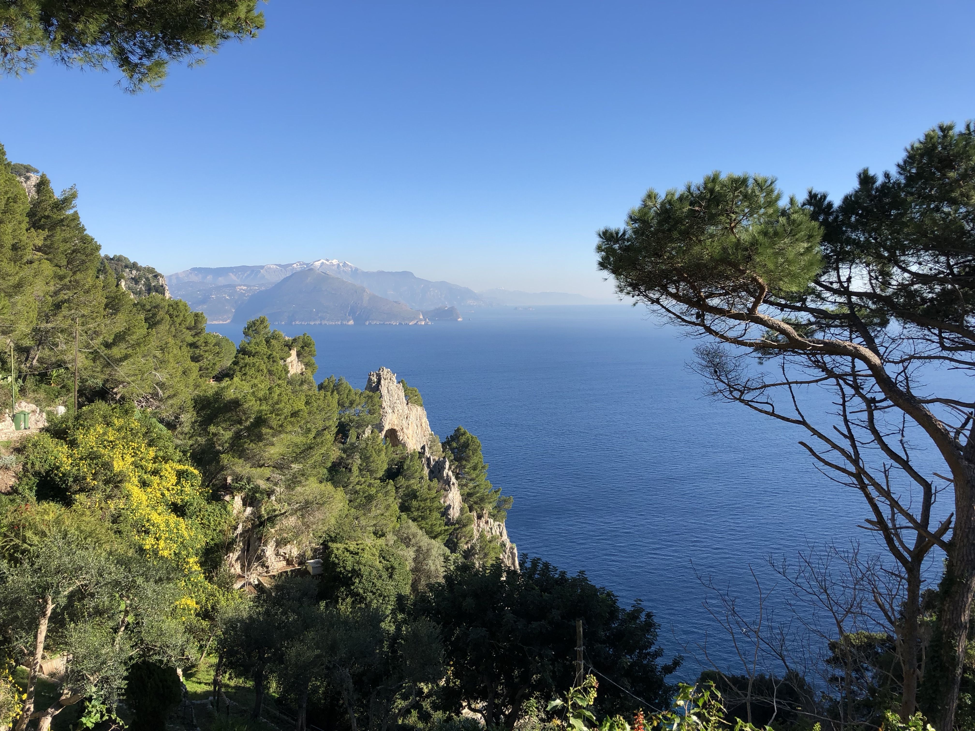 Pine-covered cliffs on Capri overlook the Tyrrhenian Sea, with distant views of the mainland and snow-capped peaks.
