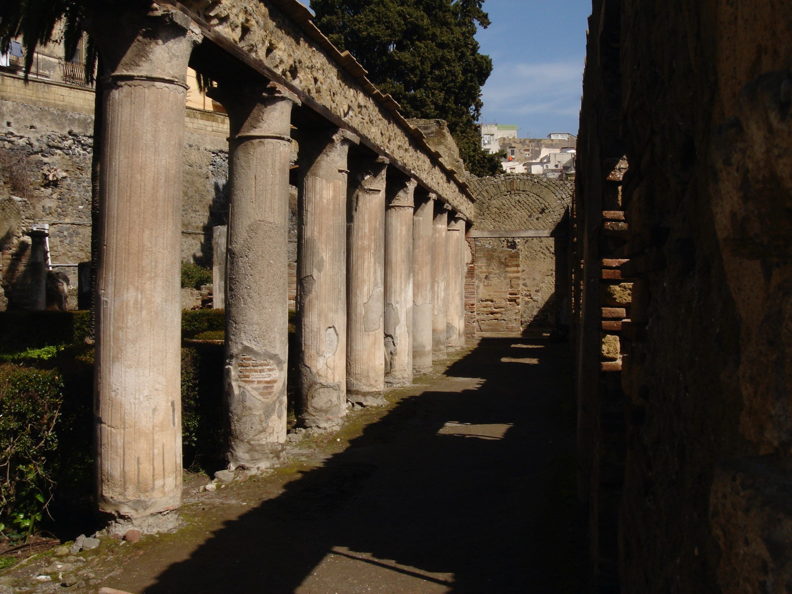 Ruins of a Roman peristyle courtyard in Herculaneum, with a colonnade of fluted columns enclosing a grassy area.