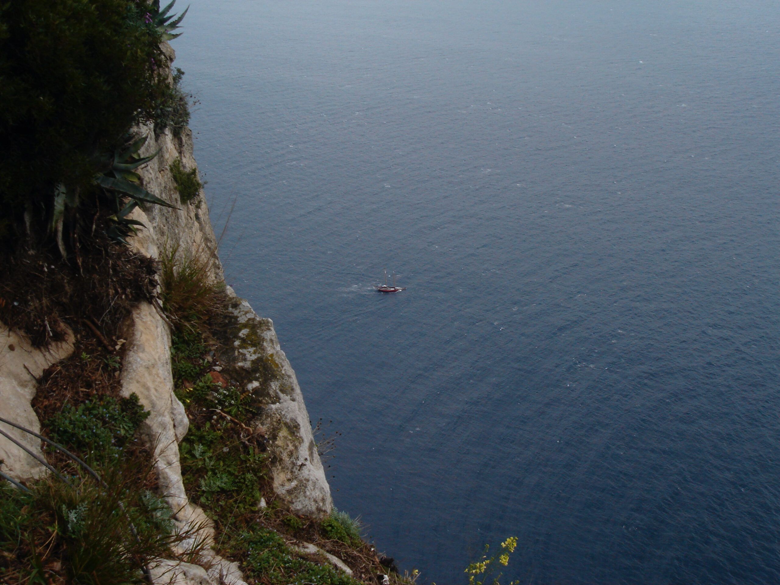 Cliffside view looking down over the sea, with a small boat visible in the distance and plants clinging to the rock face.