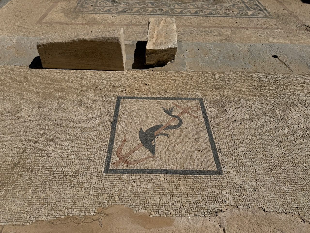 A mosaic floor. In the middle, an image of a dolphin wrapped around a red anchor.