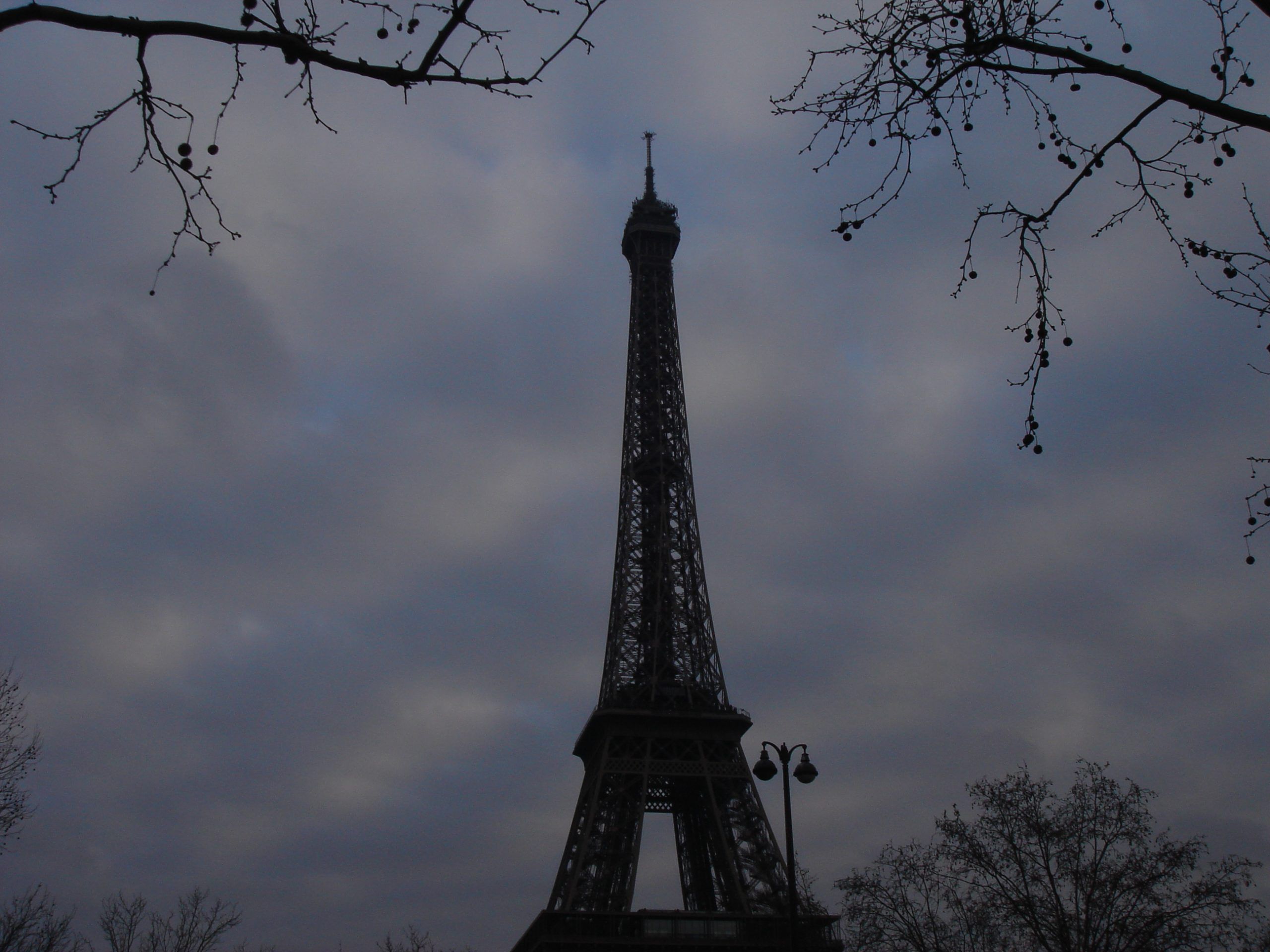 Eiffel Tower silhouetted against a cloudy sky, framed by bare tree branches.