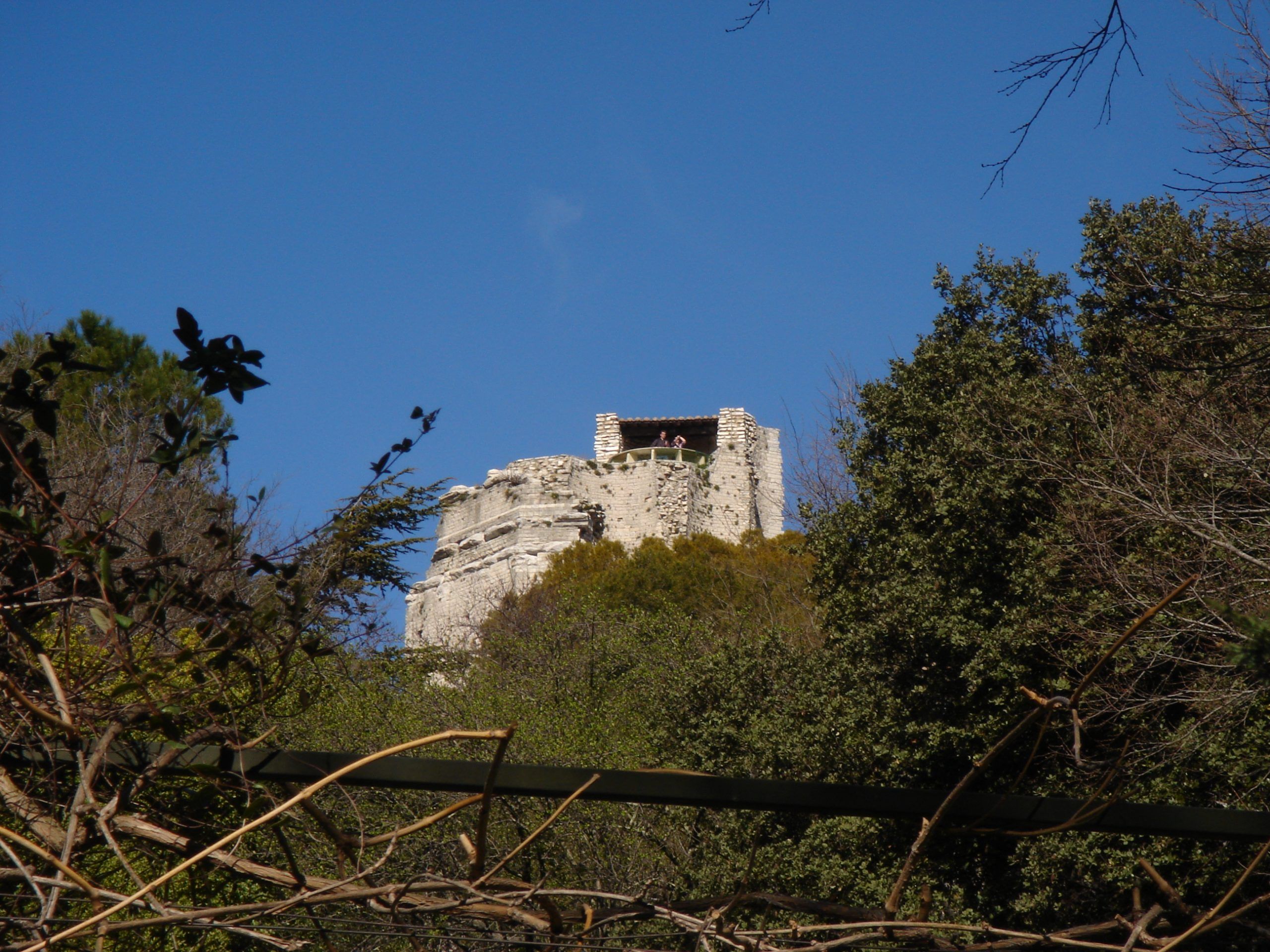 A ruined watchtower viewed through a dense thicket of trees, set against a clear blue sky.