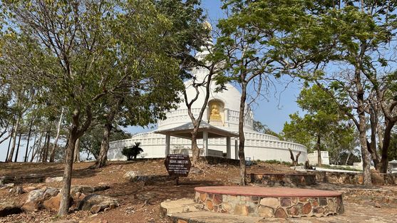 White peace pagoda (Vishwa Shanti Stupa) partially obscured by trees on a rocky hilltop in Rajgir, Bihar.