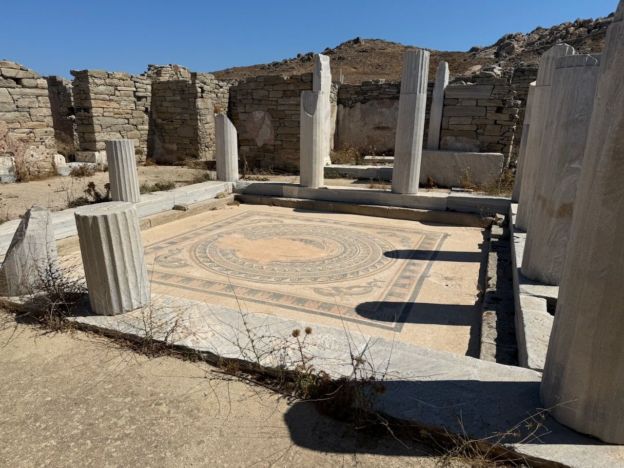 A mosaic floor surrounded by columns. In the middle a square, in each corner of which are dolphins. Concentric circles of waves in the middle, but the central image has been defaced