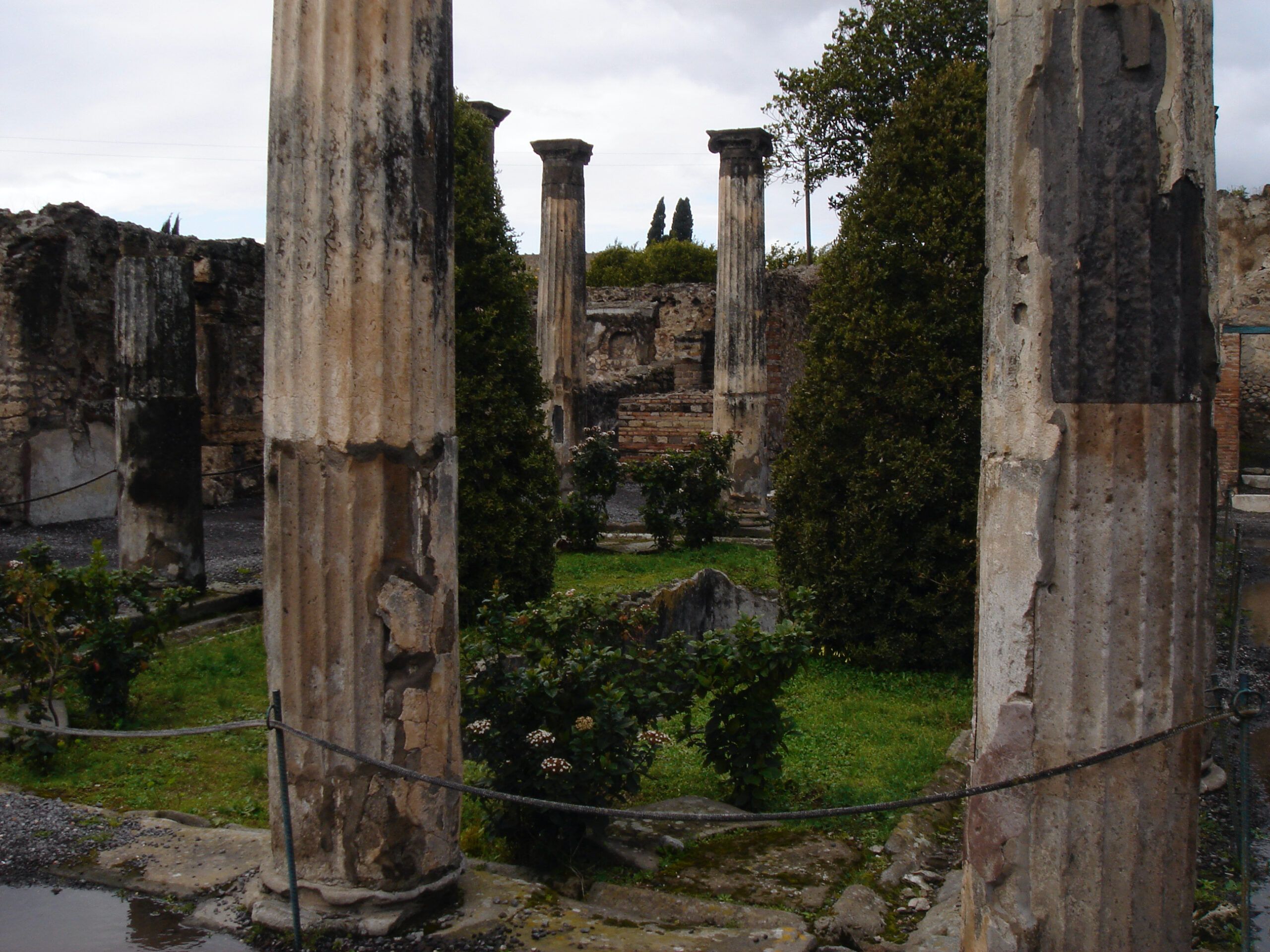 Garden courtyard at the House of Pansa in Pompeii, framed by fluted columns and surrounded by hedges and ruined stone walls.