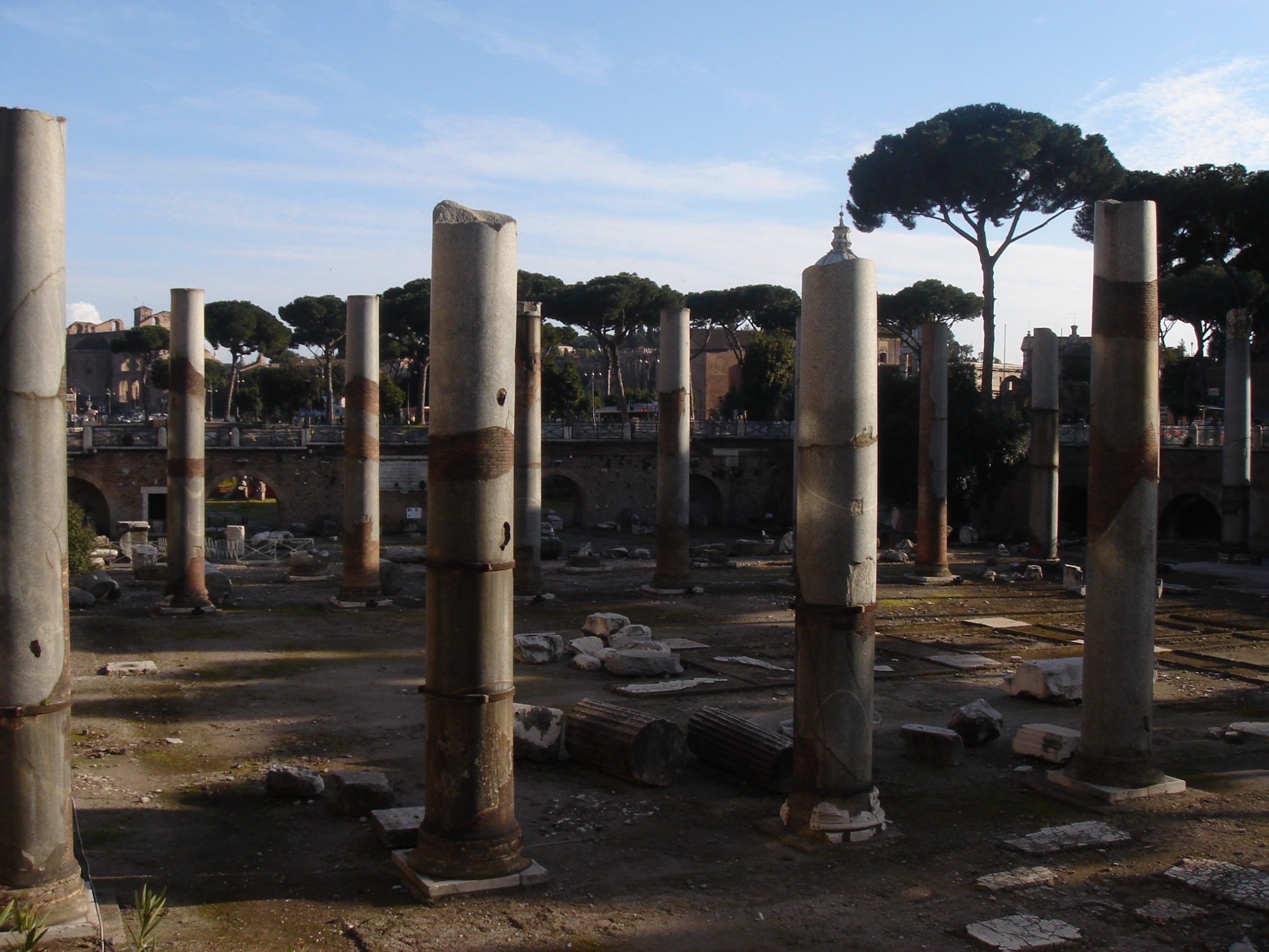 Tall marble columns from the Forum of Trajan stand in rows among scattered ruins, with pine trees and ancient brickwork visible behind them.