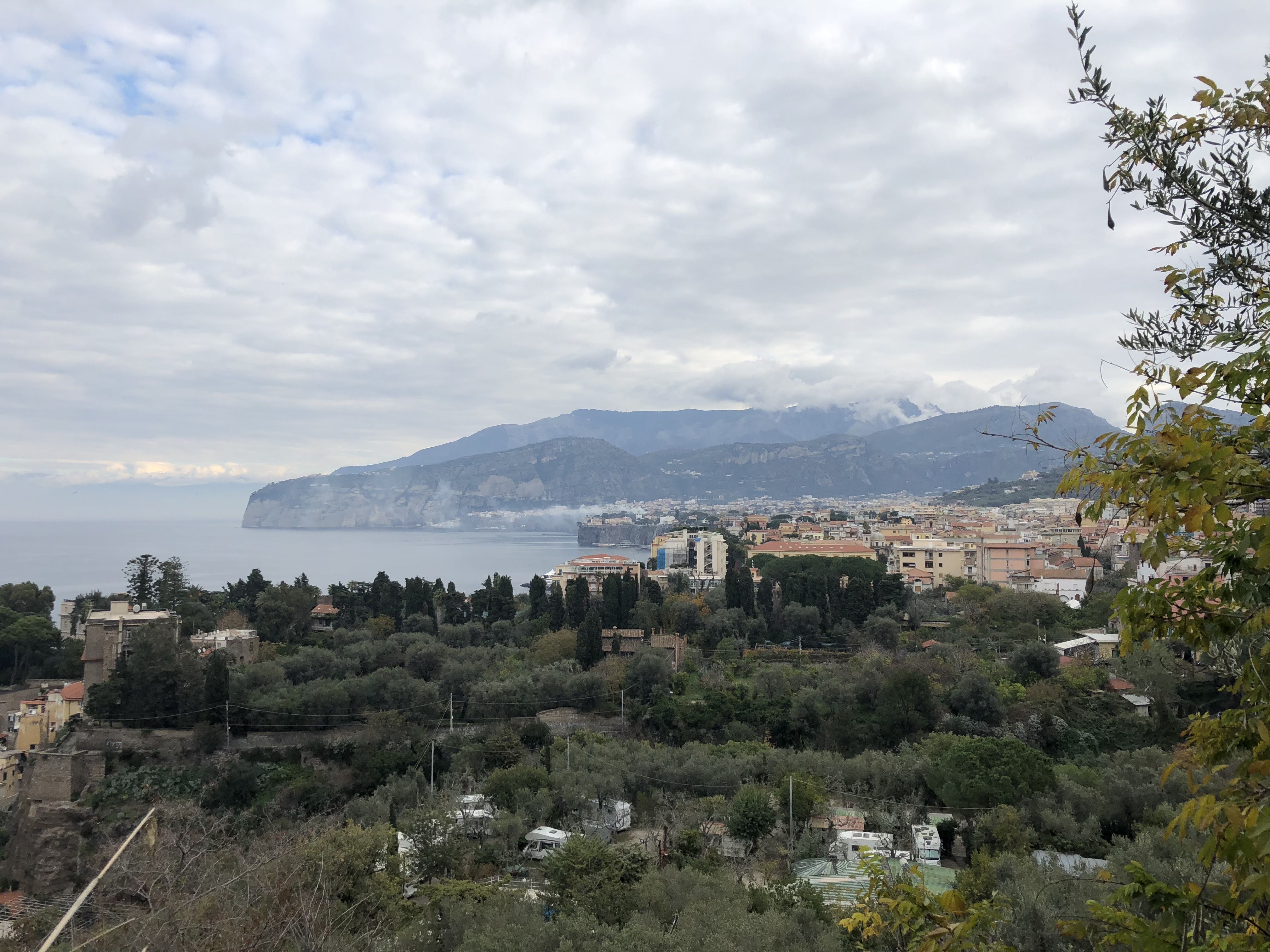 Looking down on Sorrento from the south. Just below, farm buildings and houses scattered amongst trees;  beyond them, all the buildings of Sorrento clustered together; beyond them, dark grassy headlands in the distance. On the left, the bay.