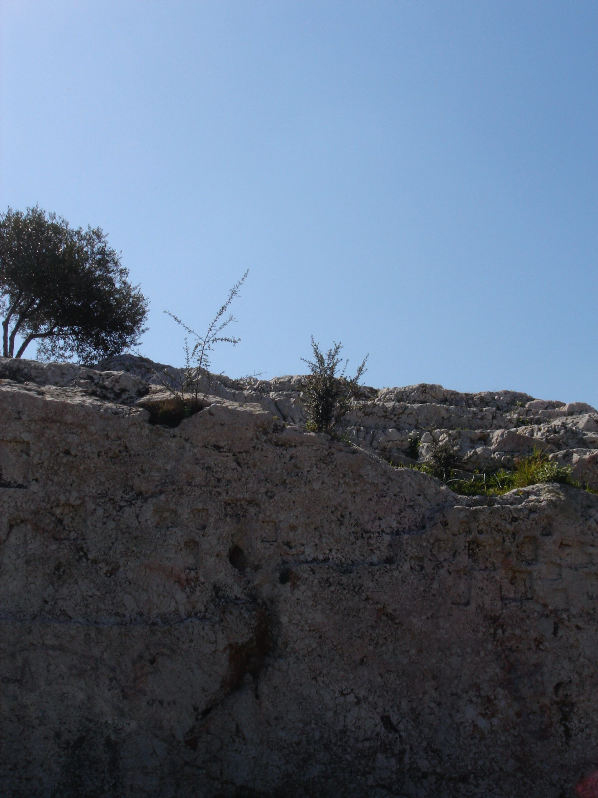 View up a rocky slope topped with sparse vegetation and small trees under a bright blue sky.