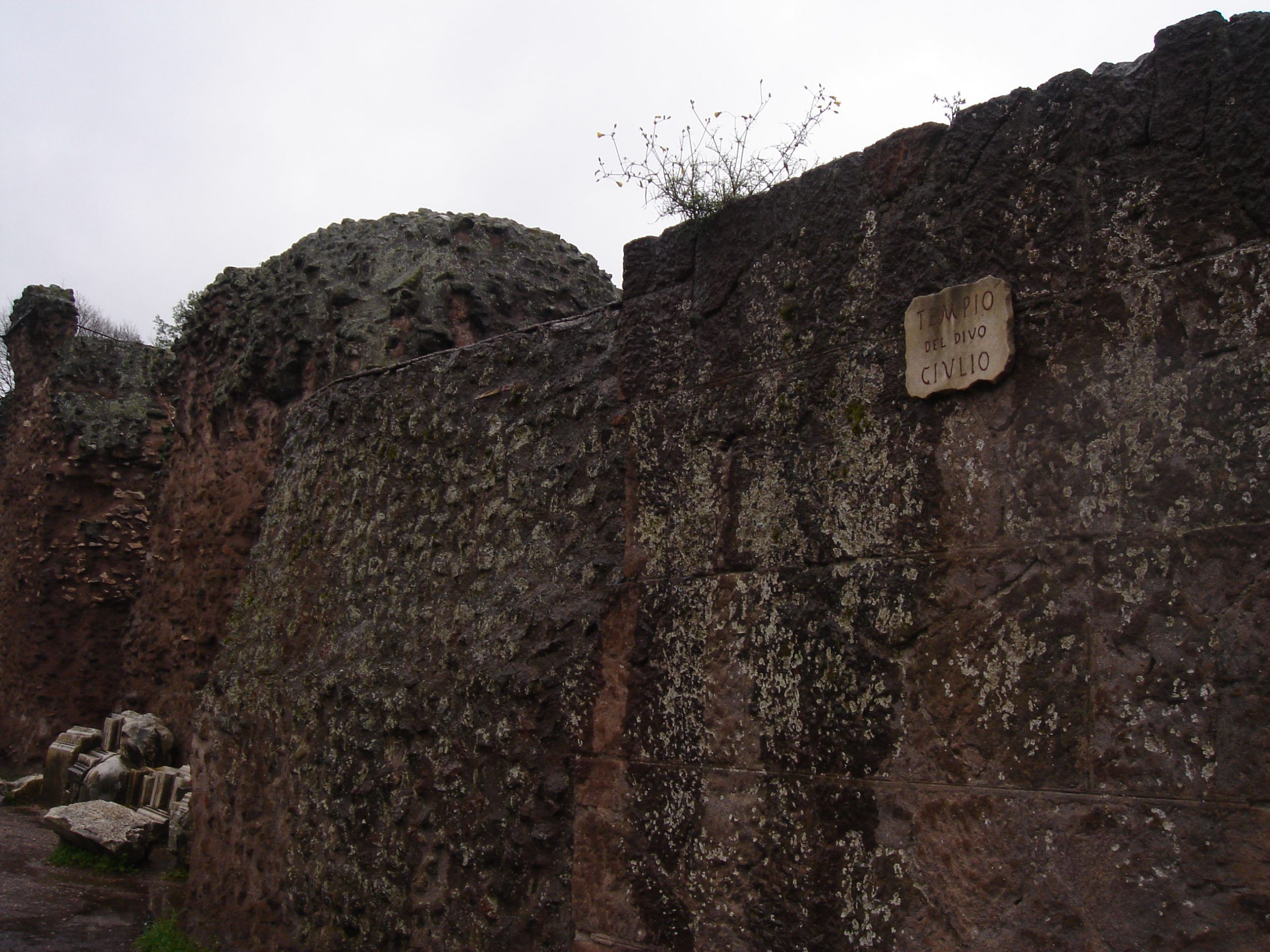 Moss-covered tufa wall in the Roman Forum with a plaque reading Tempio del Divo Giulio, marking the Temple of the Deified Julius Caesar.